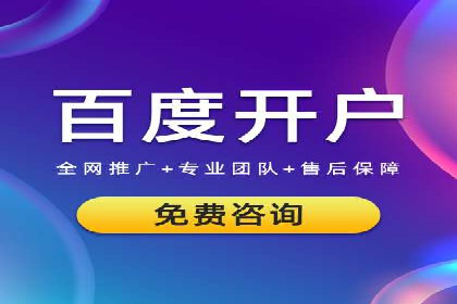 SEM服务在本地化营销中的应用案例